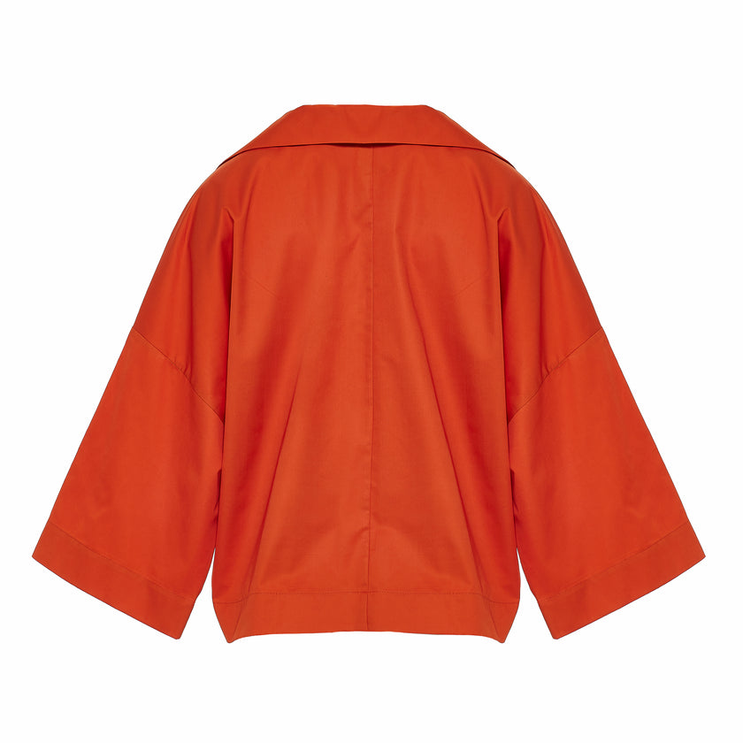 Long Sleeve Blouse with Colar